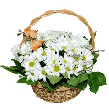 Корзинка ромашек